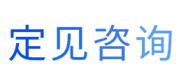 定见咨询 - 产品战略与创新咨询